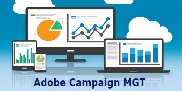 Adobe-Campaign-MGT-job-support