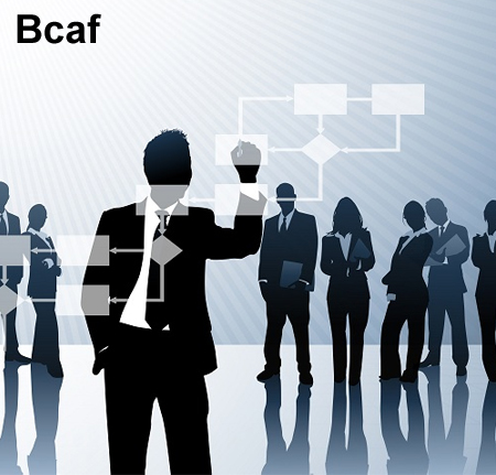 Bcaf-online-training