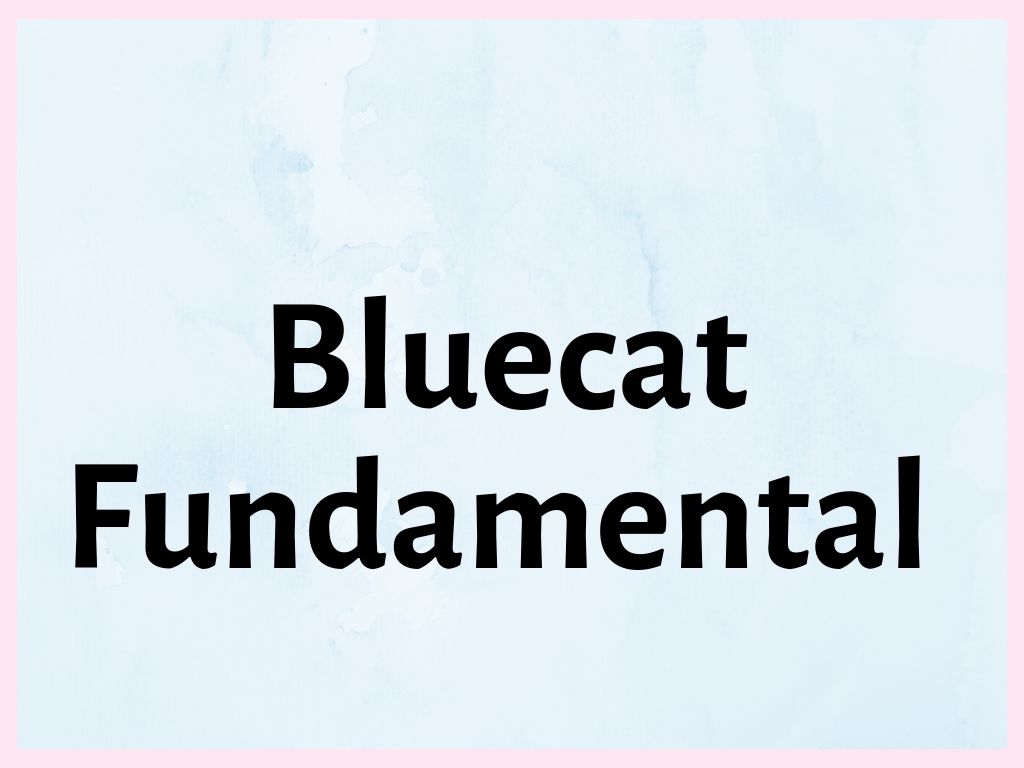 Bluecat-Fundamental-Training