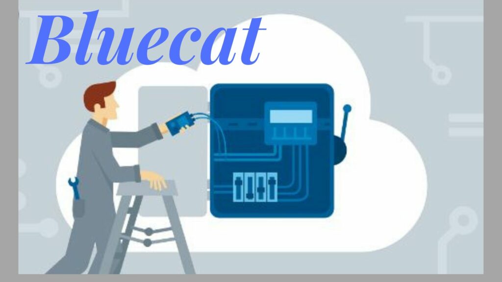 Bluecat-Training