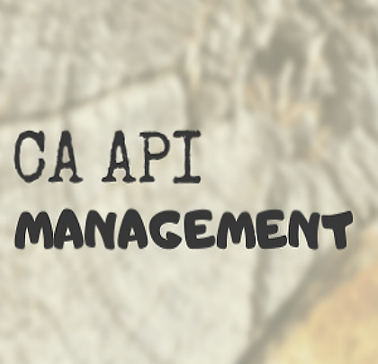 CA-API-management-training