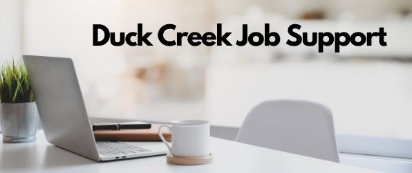 Duck-Creek-Job-Support