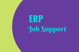 ERP-Job-Support