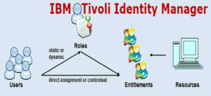 IBM-Tivoli-Identity-Manager-job-support