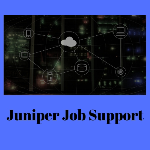Juniper-job-support