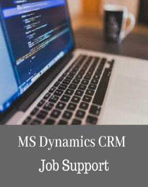 MS-Dynamics-CRM-Job-Support