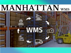 Manhattan-wms-Job-support