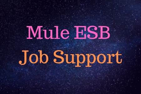 Mule-ESB-Job-Support