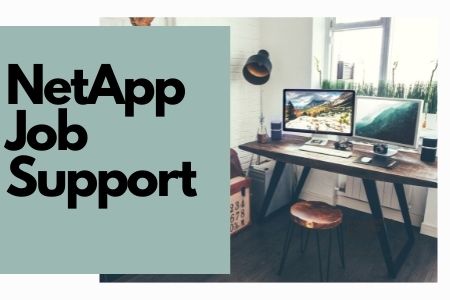 NetAPP-Job-Support