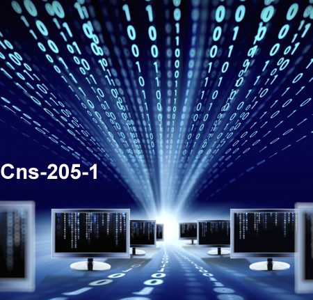 Cns-205-1-online-training