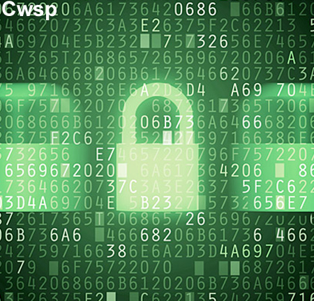 Cwsp-online-training