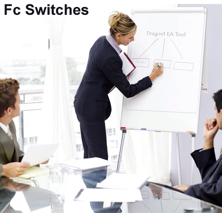 Fc-Switches-online-training