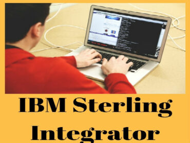 IBM Sterling Integrator Training - IDESTRAININGS