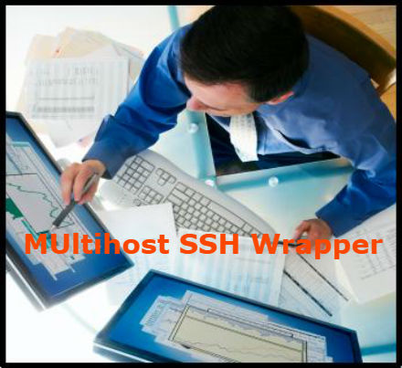 MUltihost-SSH-Wrapper-training