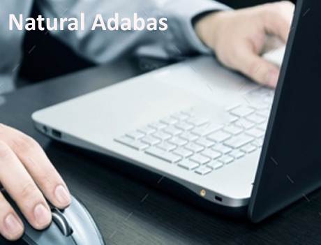 Natural-Adabas-Training