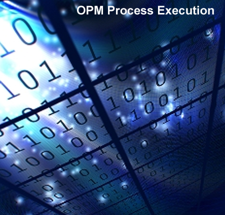 OPM-Process-Execution-online-training
