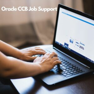 Oracle CCB Job Support