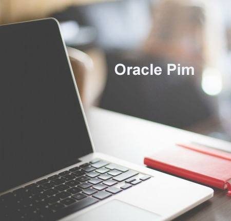 Oracle-Pim-training
