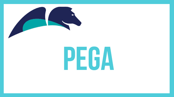 PEGA-training