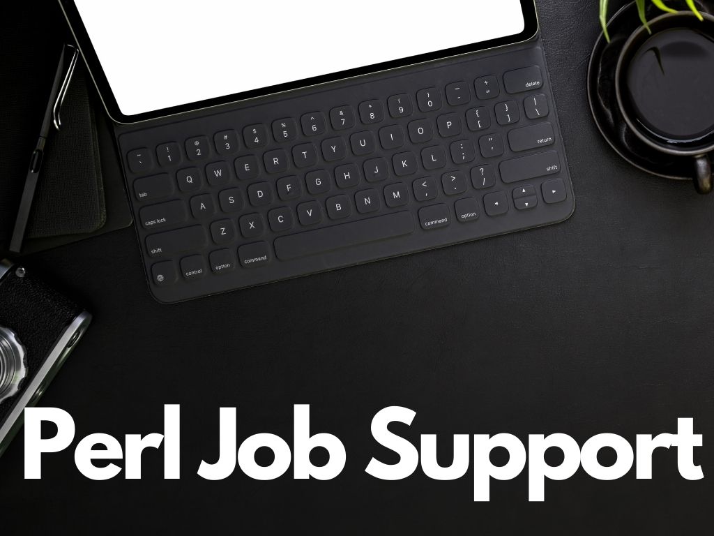 Perl Job Support