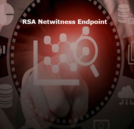 RSA-Netwithness-Endpoint-Training