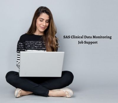 SAS Clinical Data Monitoring Job Support