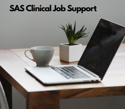 SAS Clinical Job Support