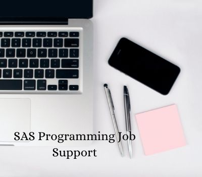 SAS Programming Job Support