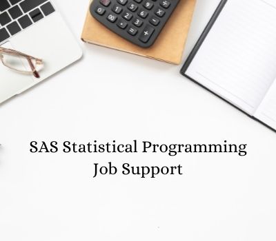 SAS Statistical Programming Job Support
