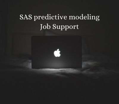 SAS predictive modeling Job Support