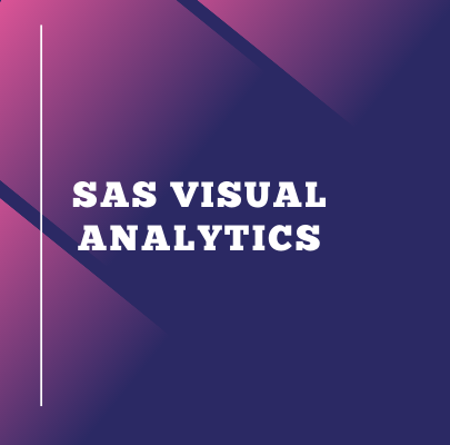 SAS-visual-training