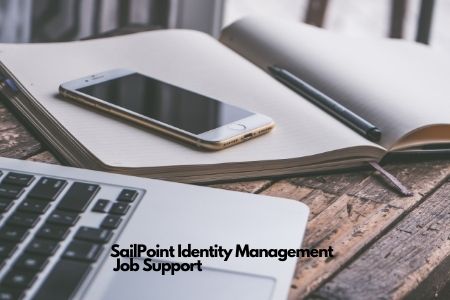SailPoint Identity Management Job Support