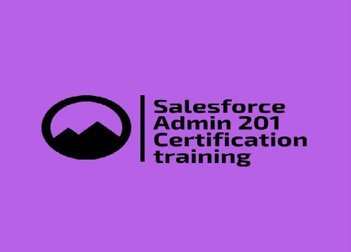 Salesforce-Admin-201-Certification-training