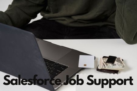 Salesforce Job Support