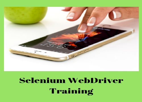 Selenium WebDriver Training