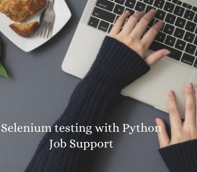 Selenium testing with Python Job Support