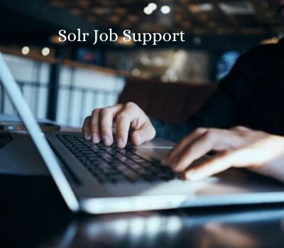 Solr Job Support