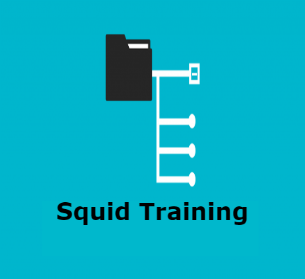 Squid-training