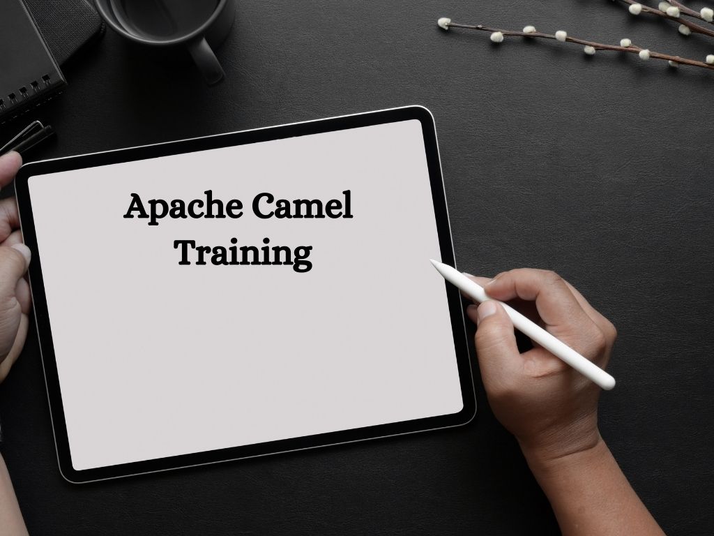 Apache Camel Training