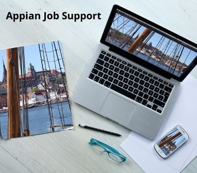 Appian Job Support