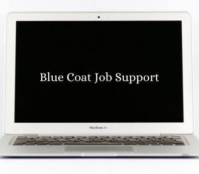 Blue Coat Job Support