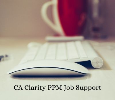 CA Clarity PPM Job Support