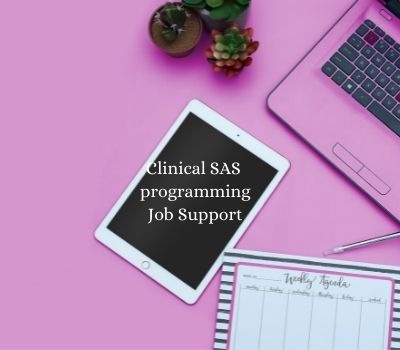 Clinical SAS programming Job Support