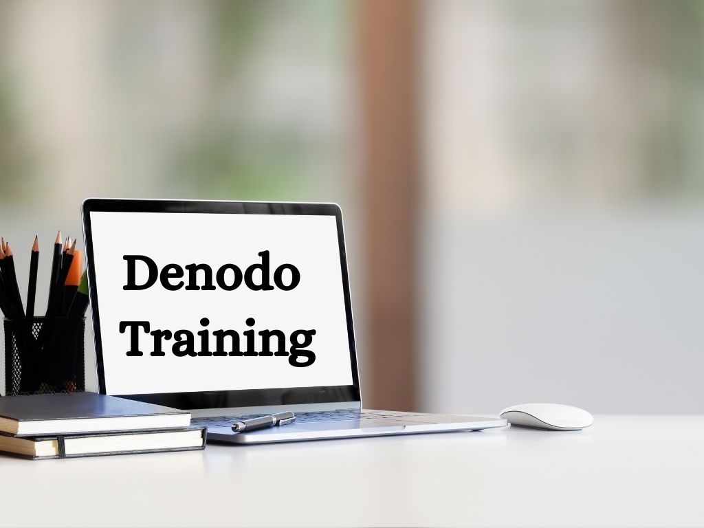 Denodo Training
