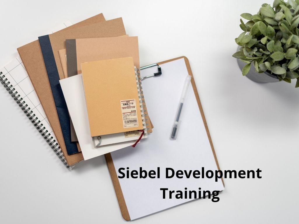 Siebel Development Training