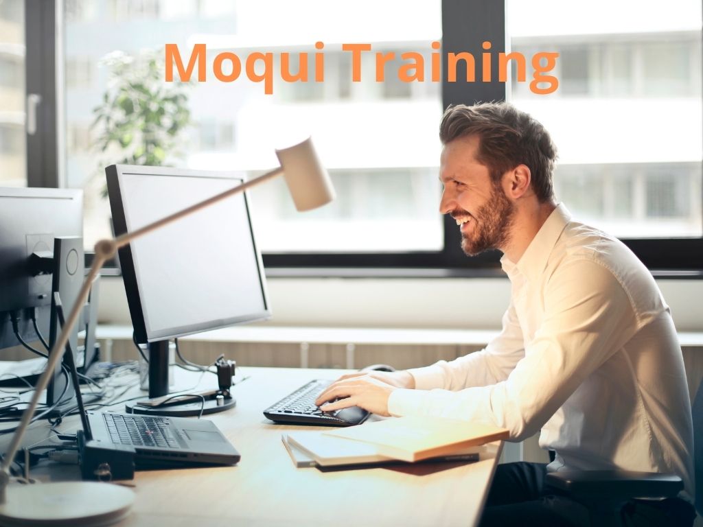 Moqui Training