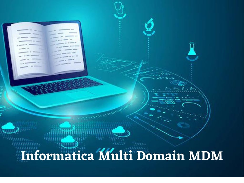Informatica Multi Domain MDM Training