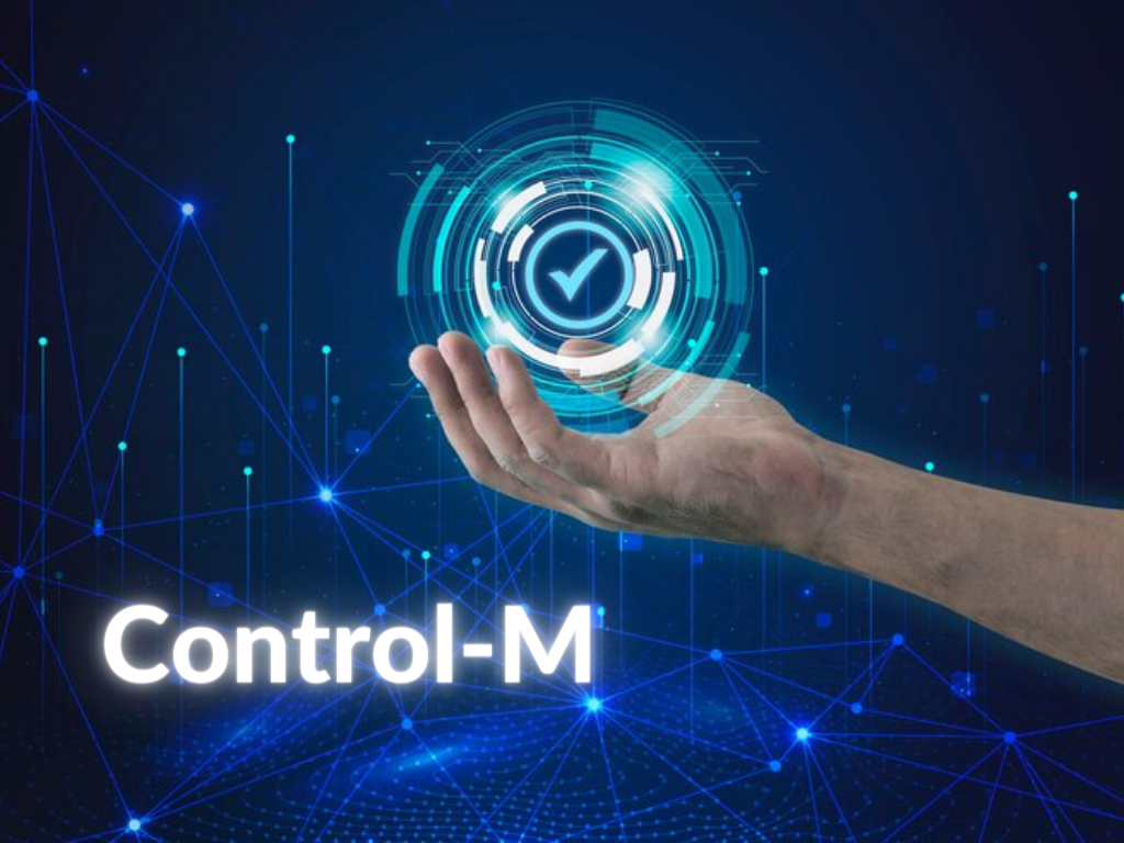 Control-M Training